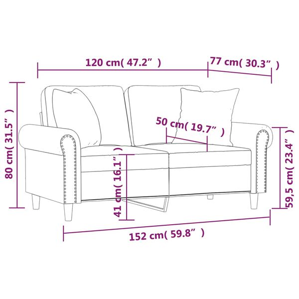 vidaXL 2-Seater Sofa with Throw Pillows Dark Grey 120 cm Velvet