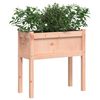 vidaXL Garden Planters 2 pcs with Legs Solid Wood Douglas