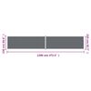 vidaXL Retractable Side Awning Anthracite 220x1200 cm