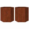 vidaXL Garden Planters 2 pcs Hexagon 46x40x45 cm Weathering Steel