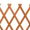 vidaXL Garden Trellis Fence Orange 150x80 cm Solid Firwood