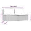 vidaXL Garden Middle Sofas with Cushions 2 pcs Grey Poly Rattan