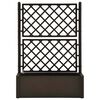 vidaXL Garden Raised Bed with Trellis and Self Watering System Mocha