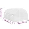 vidaXL Greenhouse 13.5m² 450x300x200 cm
