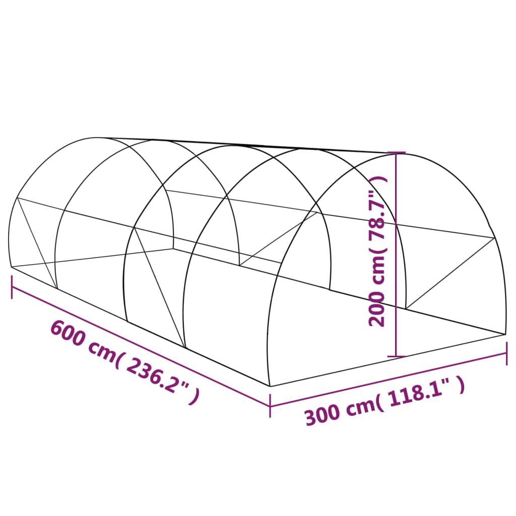 vidaXL Greenhouse 18m² 600x300x200 cm