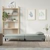 vidaXL Sofa Bed Light Grey Velvet