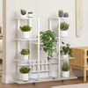 Product Thumbnail Image 2 of 10