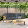 vidaXL Sofa Set with Cushion Plain 2 pcs Anthracite Solid Acacia Wood