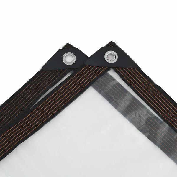 vidaXL Tarpaulin with Eyelets Transparent 3 x 4 m Polyethylene