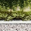 vidaXL Lawn Edgings 30 pcs White 100 x 0.5 x 15 cm Steel