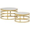 vidaXL 2 Piece Coffee Table Set Marble Brass and White