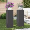 vidaXL Plant Stands 2 pcs Black 24 x 24 x 75 cm Steel