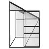 vidaXL Greenhouse Anthracite Aluminium 7.77 m&sup3;
