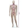 vidaXL Mannequin Man Round Head
