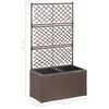 vidaXL Trellis Raised Bed with 2 Pots 58x30x107 cm Poly Rattan Brown