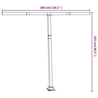 vidaXL Awning Post Set Anthracite 300x245 cm Iron