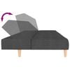 vidaXL 2-Seater Sofa Bed Dark Grey Fabric