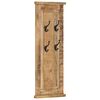 vidaXL Coat Racks 2 pcs Solid Wood Mango 38x100 cm