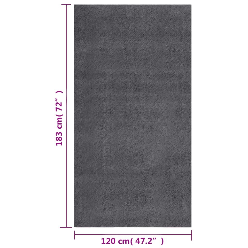 vidaXL Shaggy Rug Anthracite 120x183 cm Polyester