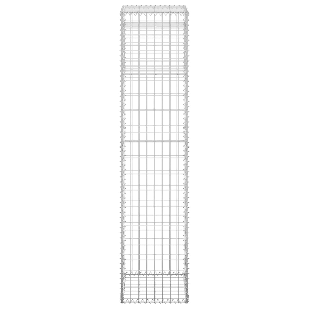 vidaXL Gabion Basket Posts 2 pcs 40x40x180 cm Iron